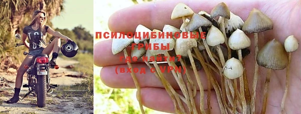 альфа пвп Заводоуковск