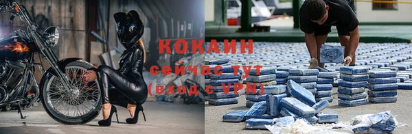 альфа пвп Заводоуковск