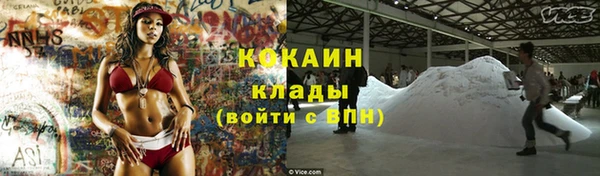 ПСИЛОЦИБИНОВЫЕ ГРИБЫ Елизово