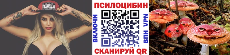 Галлюциногенные грибы Psilocybe  Заводоуковск 